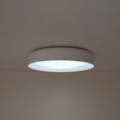 Load image into Gallery viewer, Farmhouze Light-Nordic Simple Round Shallow Bowl Dimmable LED Ceiling Light-Ceiling Light-White-
