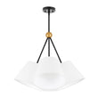 Load image into Gallery viewer, Farmhouze Light - Retro Cluster 4 - Light White Fabric Cage Chandelier - Chandelier - Black - 
