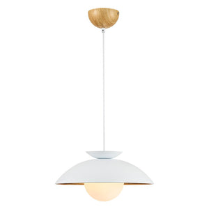 Farmhouze Light-Scandinavian Single Metal Dome Kitchen Pendant-Pendant-White-