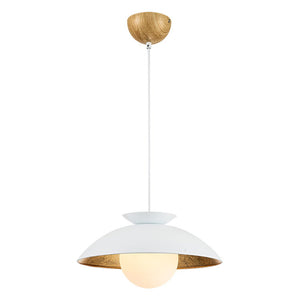 Farmhouze Light-Scandinavian Single Metal Dome Kitchen Pendant-Pendant-White-