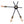Load image into Gallery viewer, Farmhouse 3-Light Black Wall Sconce
