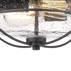 Farmhouze Light-Caged Seeded Glass Flush Mount Light-Ceiling Light--